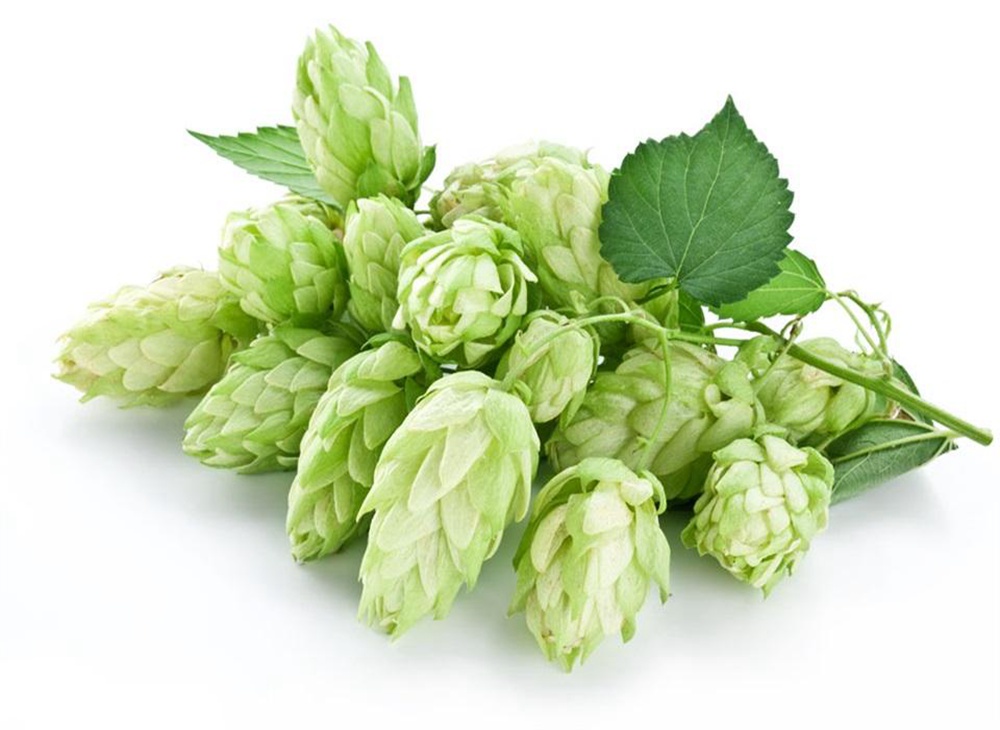 beer brewery equipment,beer brew equipment,micro brewery equipment,microbrewery equipment,equipment for microbrewery,brewing machines,brewing machinery,brewing machine